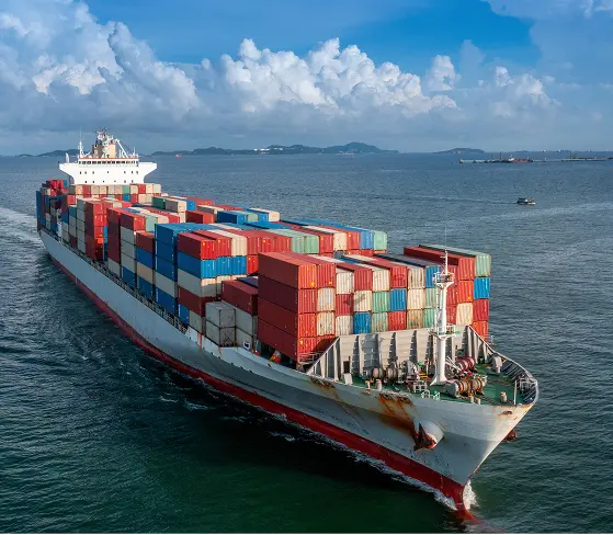 Drugs services export certificate hero