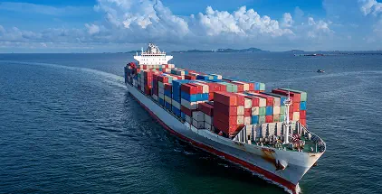 FSVP Case Study preview: US importer