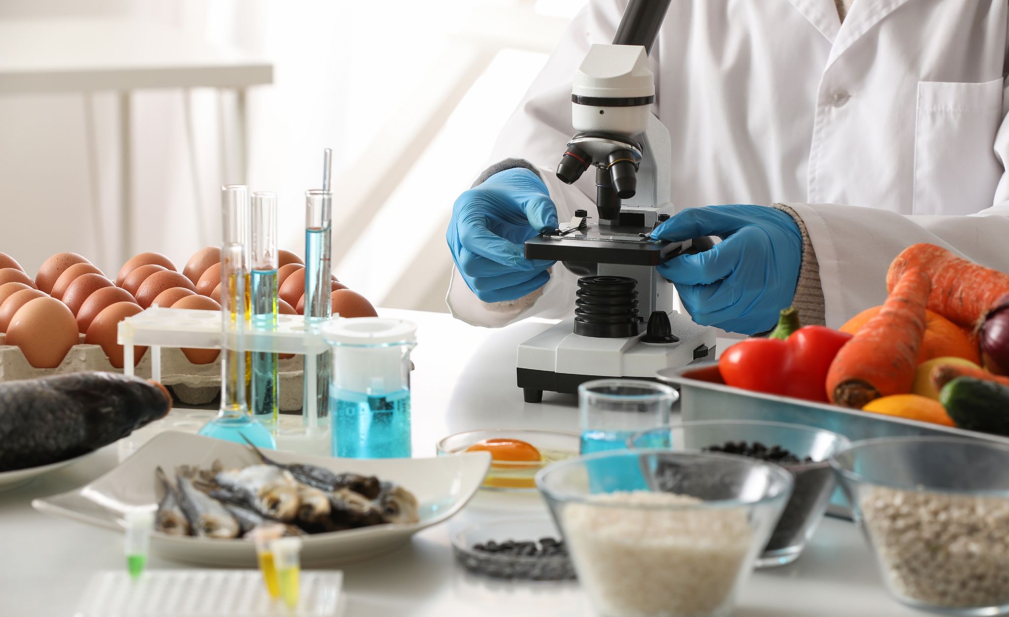 How to Build a HACCP Plan That Actually Works