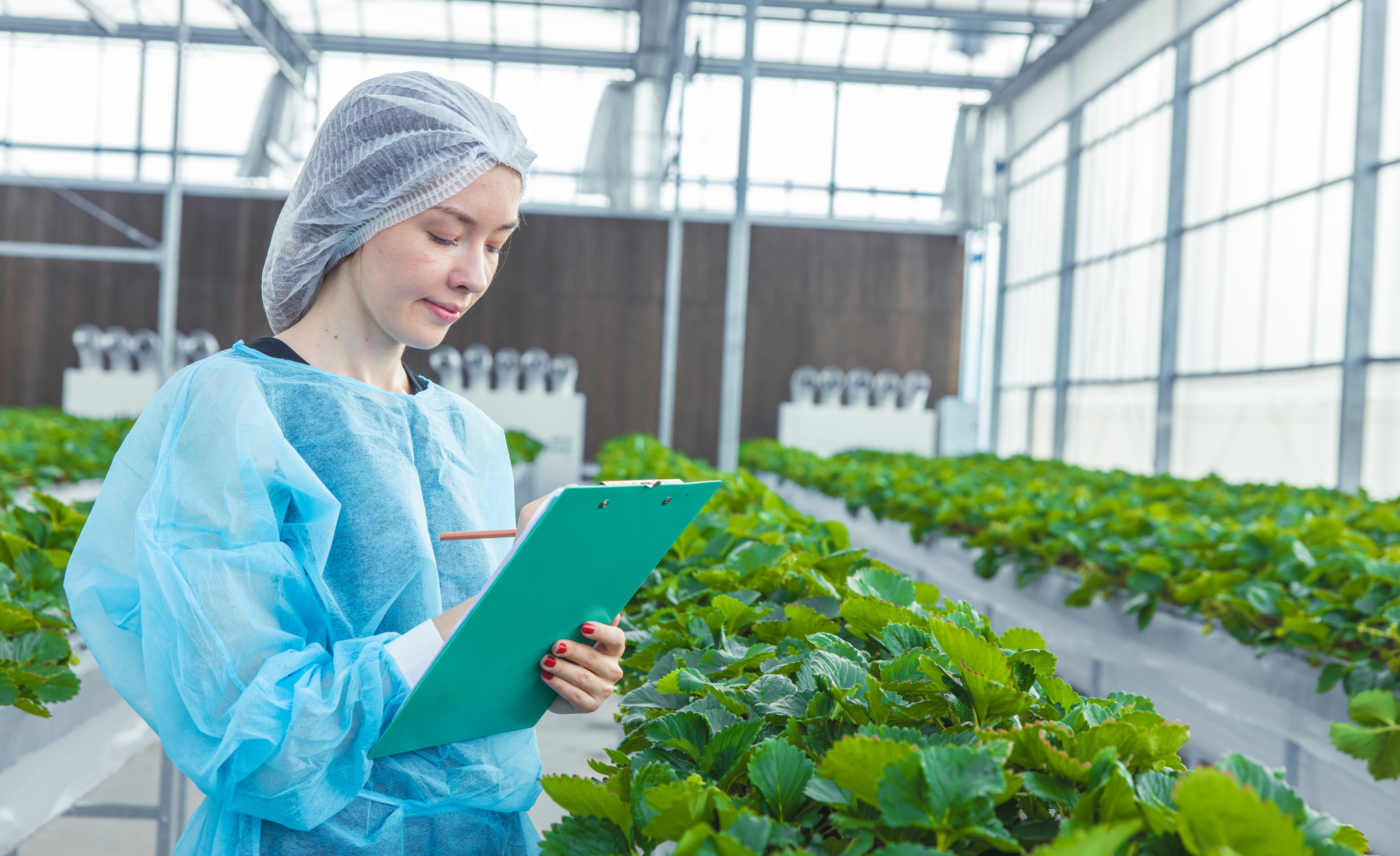 You’ve Completed PCQI Training. What Comes Next? 