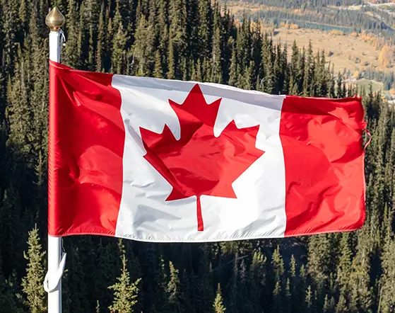 gen_canadian-flag Hero image - Canadian Cosmetics Compliance